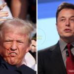 CEOs of Google, Apple, and Tesla, Elon Musk, and Tim Cook, respond to the shooting at a Trump rally.